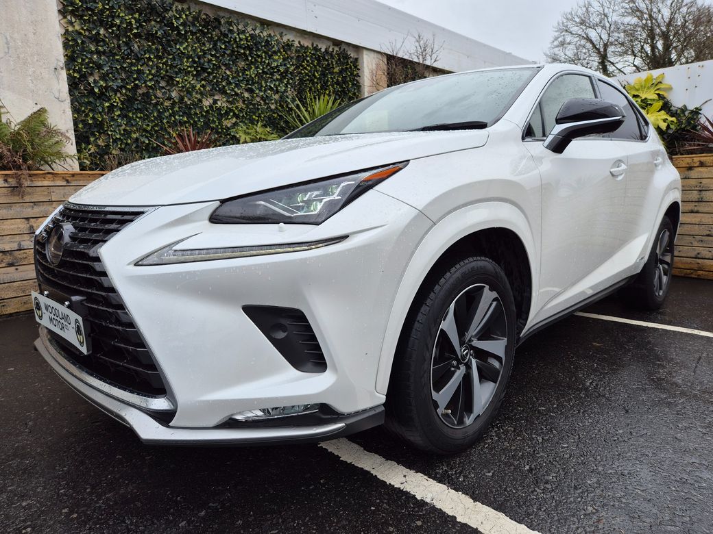 2021 Lexus NX