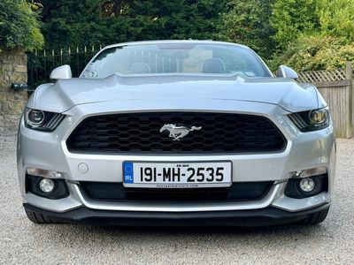 2019 Ford Mustang