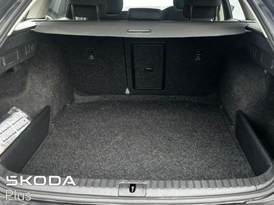 2023 Skoda Octavia