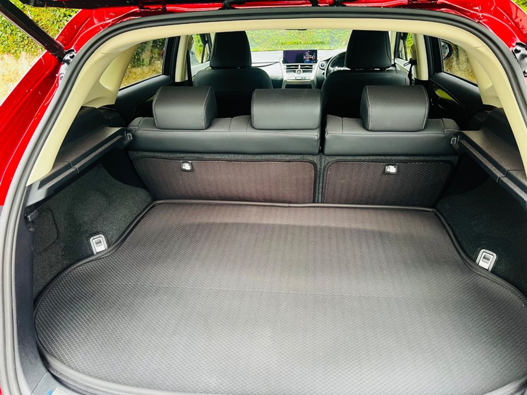 2019 Lexus NX 300h