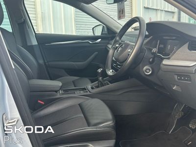 2023 Skoda Octavia