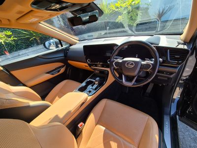 2023 Lexus NX 450H+
