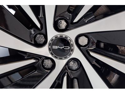 2025 BYD Seal U