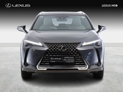 2023 Lexus UX 250H