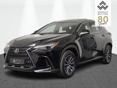 2025 Lexus NX