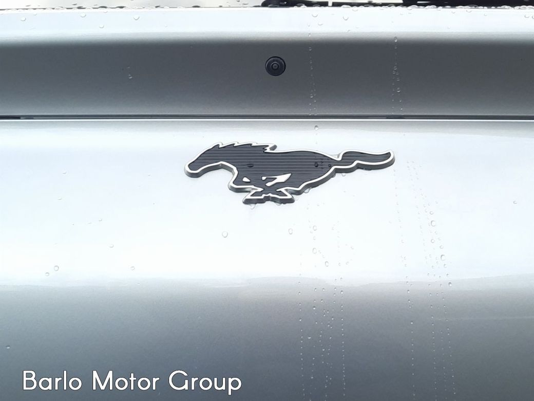 2021 Ford Mustang Mach-e