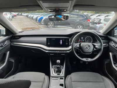2023 Skoda Octavia