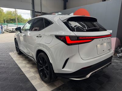 2023 Lexus NX