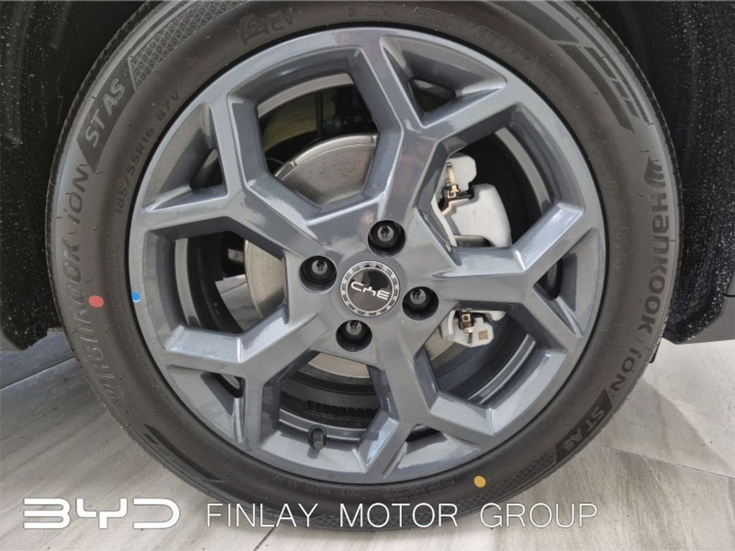 2026 BYD Dolphin Surf