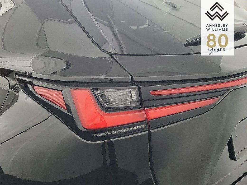 2024 Lexus NX