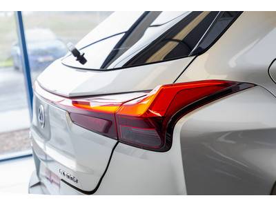 2021 Lexus UX 300e