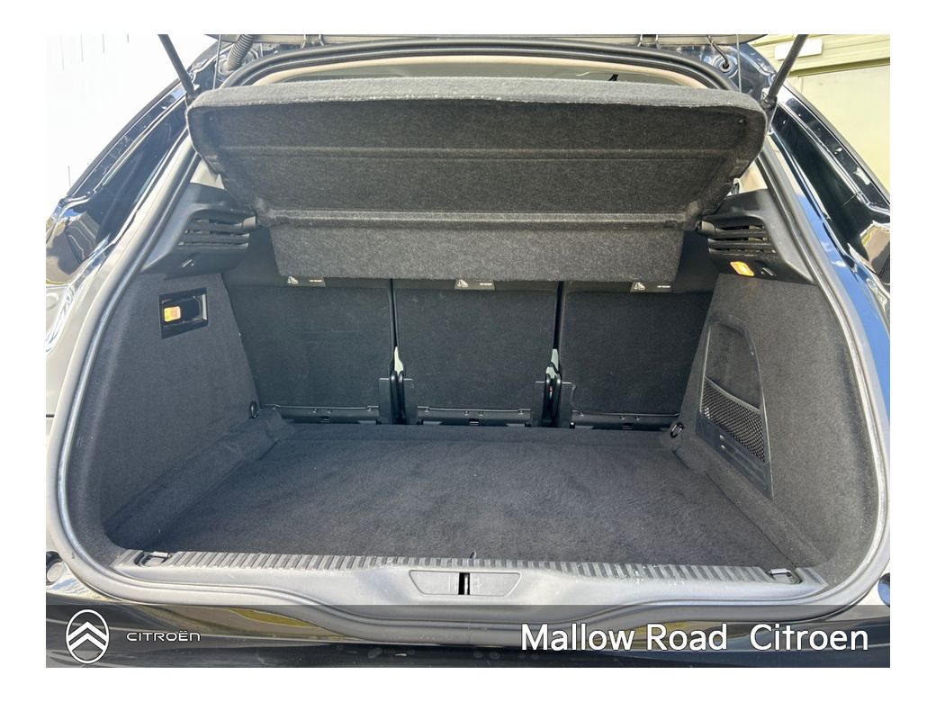 2019 Citroen C4 Picasso