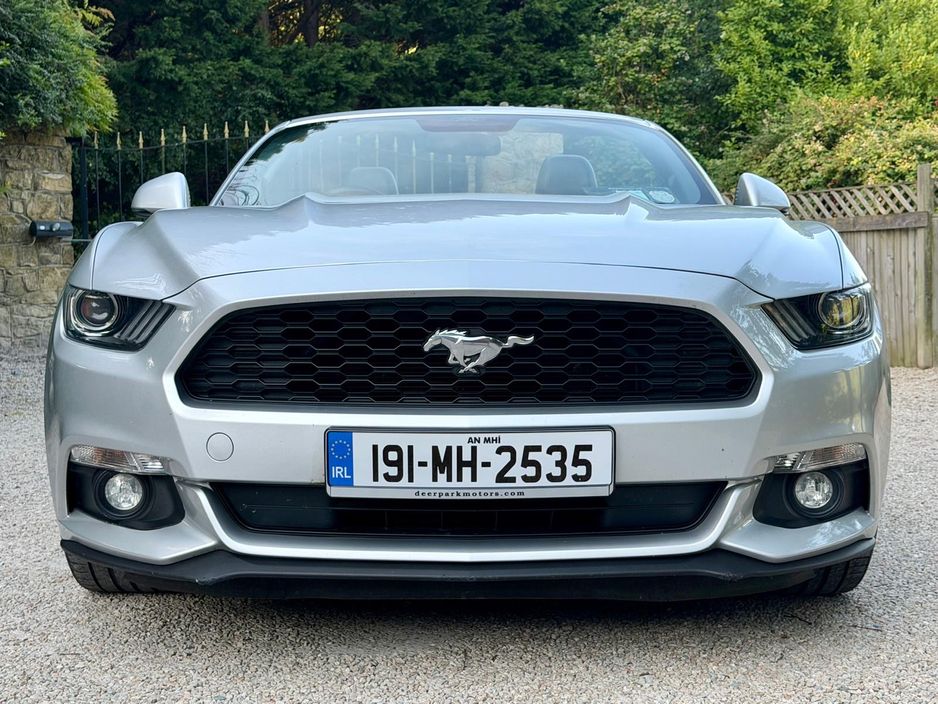 2019 Ford Mustang