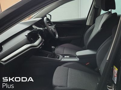 2023 Skoda Octavia