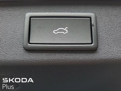 2024 Skoda Kodiaq