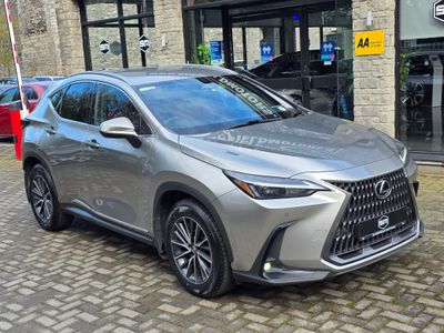 2023 Lexus NX