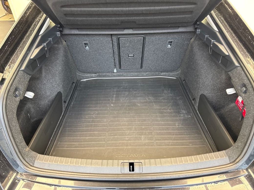 2023 Skoda Octavia