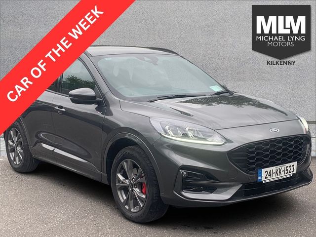 vehicle for sale from Michael Lyng Motors