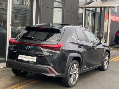 2021 Lexus UX 300e