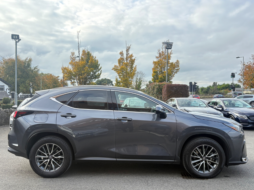 2022 Lexus NX 450H+