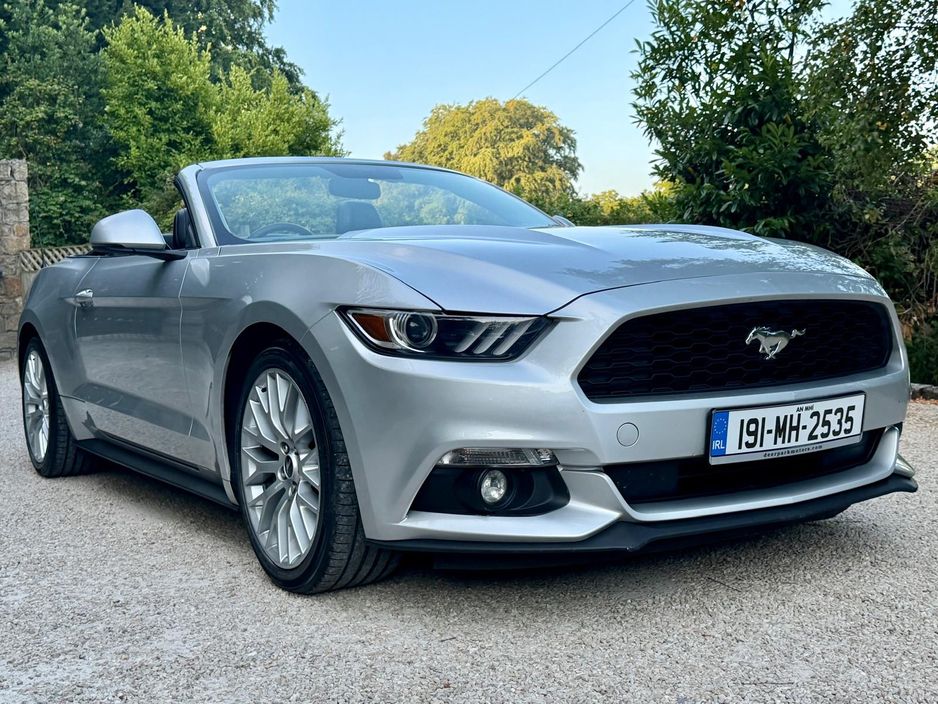 2019 Ford Mustang