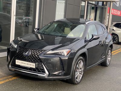 2021 Lexus UX 300e