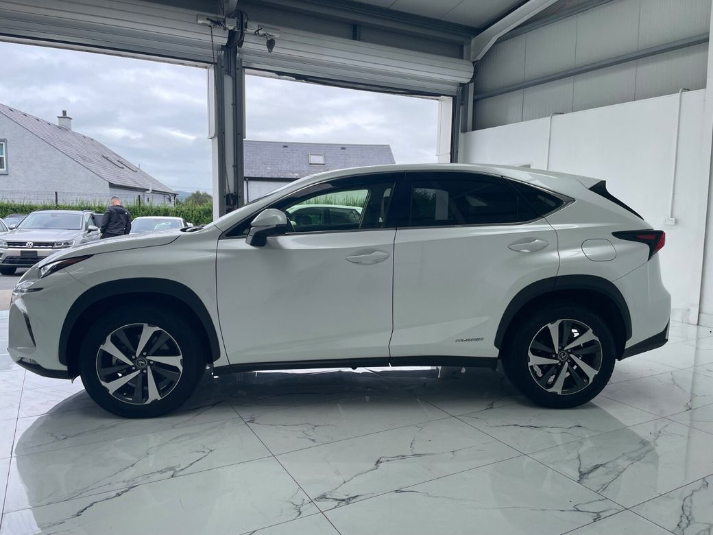 2019 Lexus NX