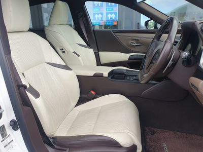 2019 Lexus ES 300h