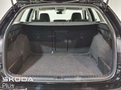 2023 Skoda Octavia