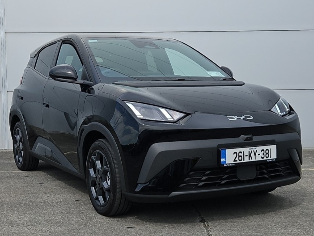 2026 BYD Dolphin Surf