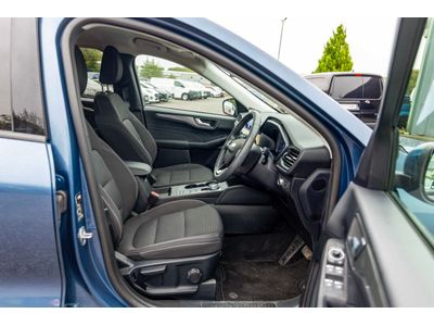 2024 Ford Kuga