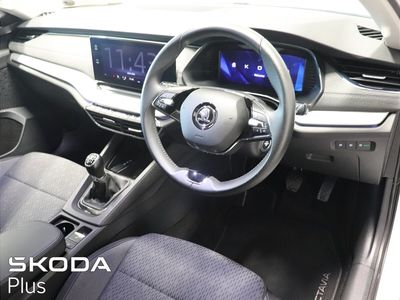 2023 Skoda Octavia