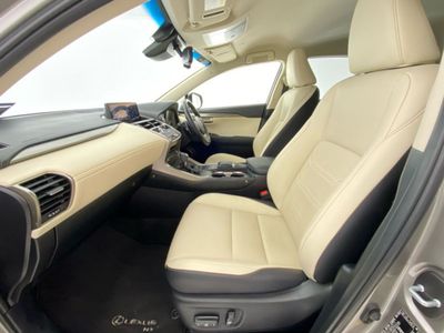 2019 Lexus NX