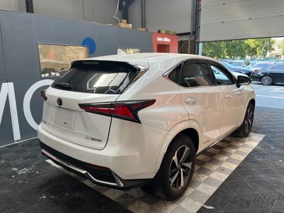 2019 Lexus NX 300h