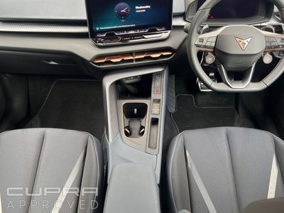 2026 Cupra Terramar