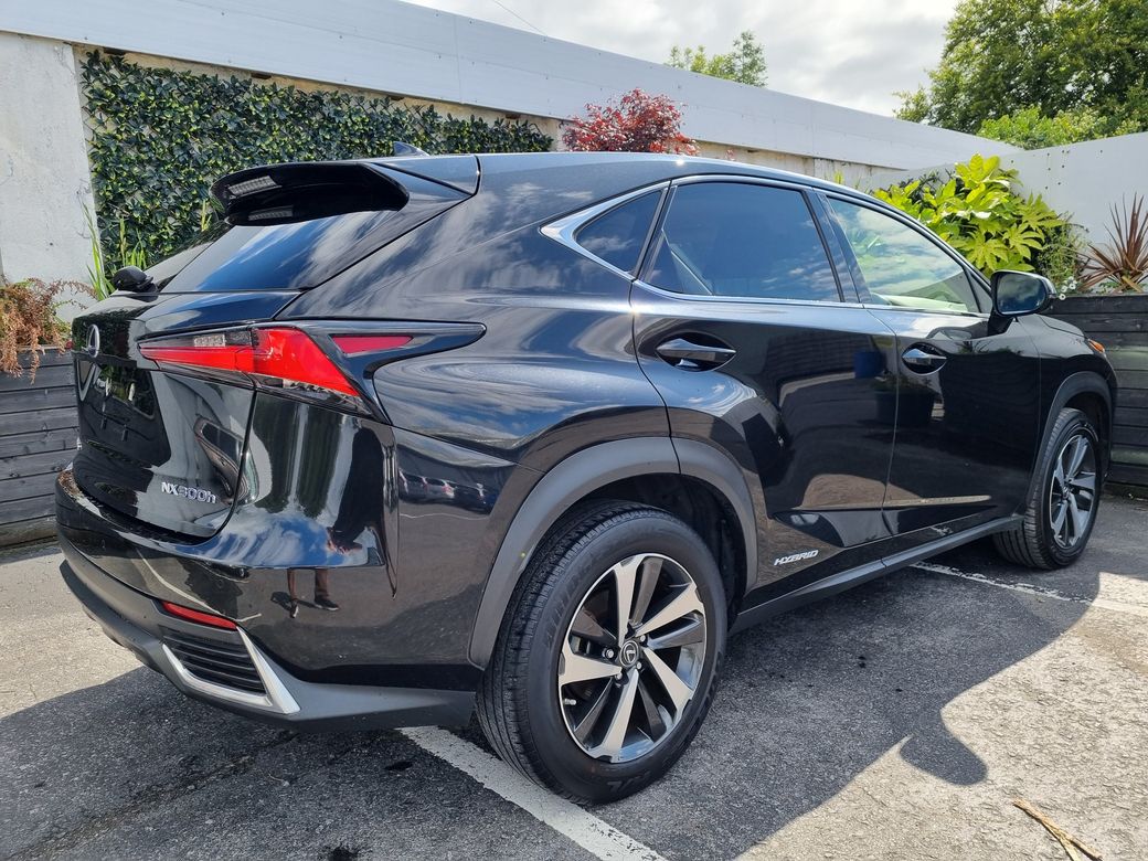 2020 Lexus NX