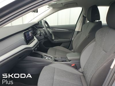 2023 Skoda Octavia
