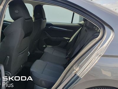 2023 Skoda Octavia