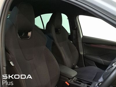 2023 Skoda Octavia