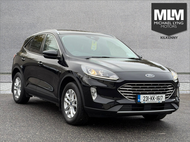 vehicle for sale from Michael Lyng Motors