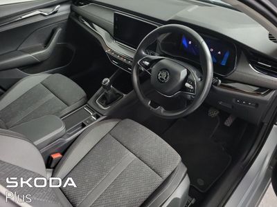 2023 Skoda Octavia