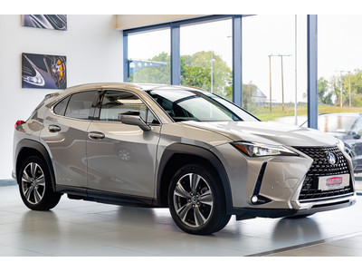 2021 Lexus UX 300e