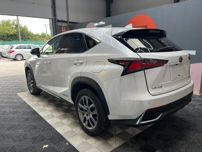 2019 Lexus NX 300h