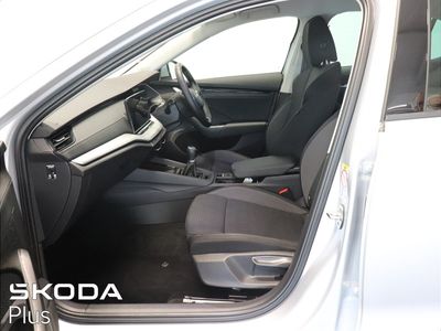 2026 Skoda Octavia