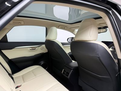 2021 Lexus NX
