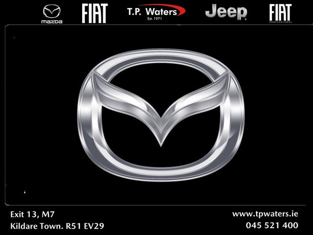 vehicle for sale from TP Waters