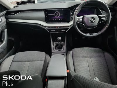 2023 Skoda Octavia