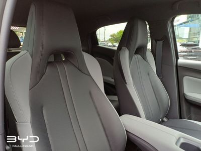 2026 BYD Dolphin Surf