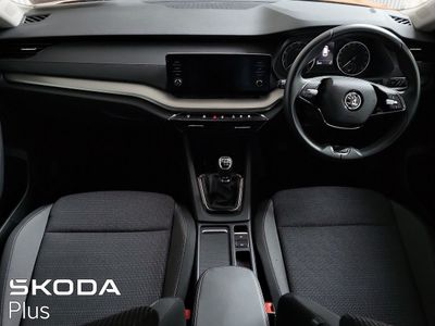 2023 Skoda Octavia