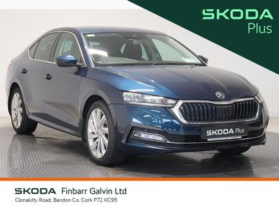 2023 Skoda Octavia